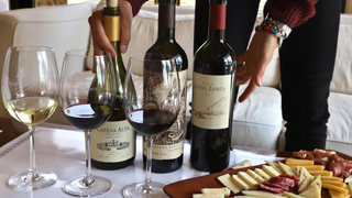 Wine and cheese is good for your brains